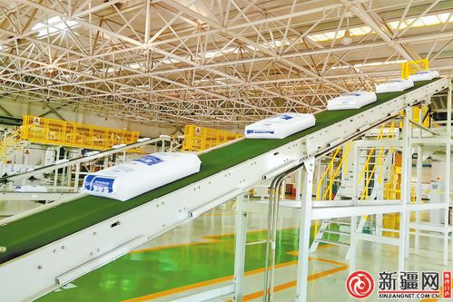 聚焦烏魯木齊高質量發展 科技創新激活發展動能