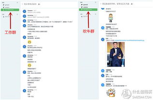 原創(chuàng)新人省小錢辦大事 群暉DS216 II網(wǎng)絡存儲NAS服務器搭建數(shù)據(jù)中心靠譜嗎？